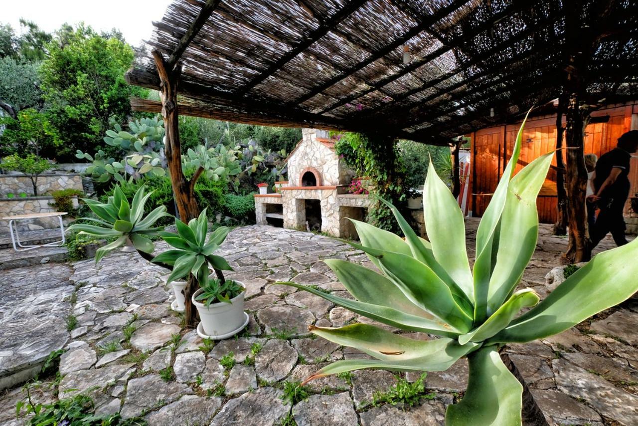 فيلا Terra Di Ulivo فيستَ المظهر الخارجي الصورة
